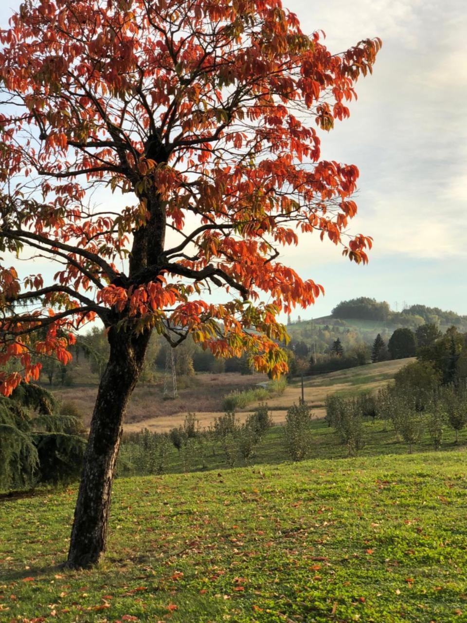 فيلا Cascina San Giorgio فالينزا المظهر الخارجي الصورة